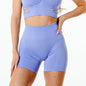 Shorts Gym Seamless Shorts